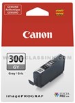 Canon-4200C002-PGI-300GY