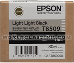 Epson-Epson-T850-Light-Light-Black-T850900