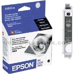 Epson-T0541-T054120