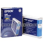 Epson-T463-T463011