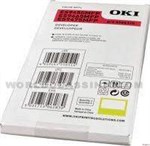 Oki-45643701