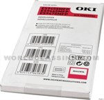 Oki-45643702